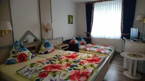 Hotel Steiner - Image 3