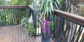 The Bamboo House Coolangatta - Image 5