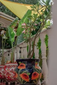 Casa Naranja - Piscina Privada - Image 4