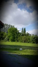 Au Paradis Des Crins - Image 4