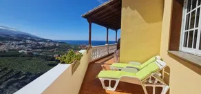 Los Geranios - Image 4