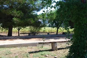 Agriturismo Rustichino - Image 4