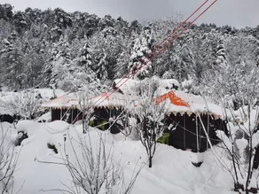 Hotel Maple Leaf Uttarakhand - Image 5