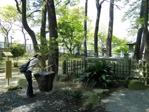 Aoi - Image 5