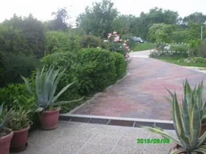 Klara - Image 4