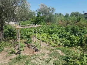 Eleonas Farm House - Image 3