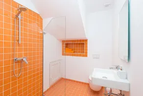 Boira Laia - Image 3