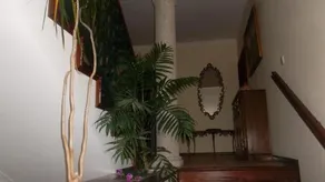 Casa Pinho - Image 2