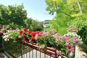 B&B Villa Fiorita - Image 4