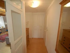 Die Bark - Image 3