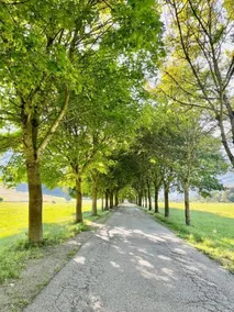 Haus Obermann - Image 5