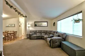 The Haire Haus - Image 4