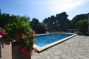 Los Pinos - Image 5