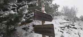 El Lagar De Elciego - Image 5