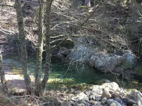 L'Alivi - Image 3