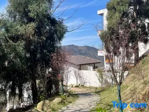 Nanyunye Tingfeng Homestay - Image 5