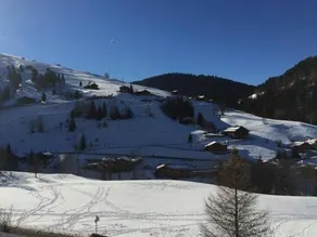 Chalet-Hôtel du Borderan - Image 4