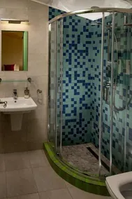 Pensiunea Floarea Soarelui Piscu - Image 4