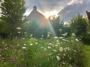 B&B Helena's Hoeve - Image 3