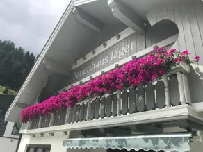 Ferienhaus Jager - Image 3