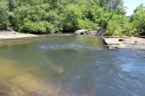 Chattahoochee Shoals Cottage - Image 5