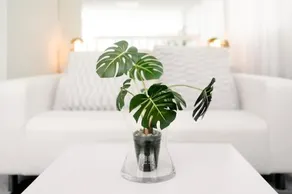 Le Loft - Image 3