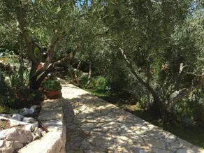 Villa Miolin - Image 3