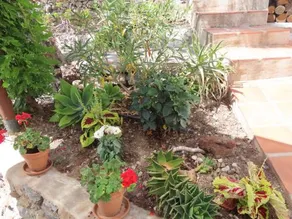 Finca Flor - Image 2