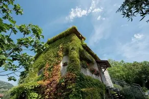 Casale Bambu - Image 3