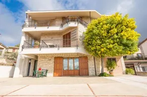 La Mimosa - Image 2