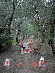 La casa dei nonni - Image 2