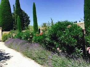 Le Mas des Lauriers - Image 5