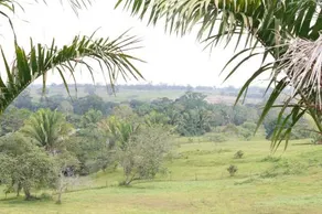 Coconut Ridge - Image 2