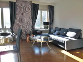Zurich Suite your home away from home with washer dryer and lots of space - Image 4