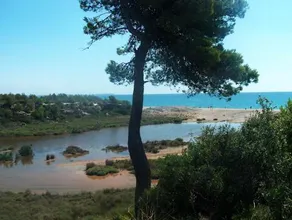 Guardamar - Image 4