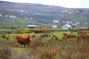 Fernhill Farm B&B - Image 1