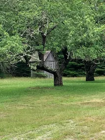 Meta Goldin Farmhouse Meadow - Image 2