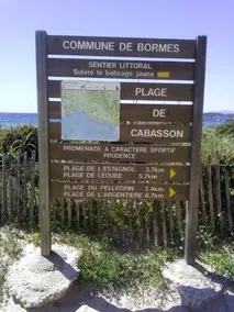 Les Palmiers - Image 4