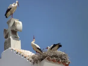 Entrecubos Guesthouse - Image 2