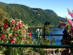 Olympic View - Image 4