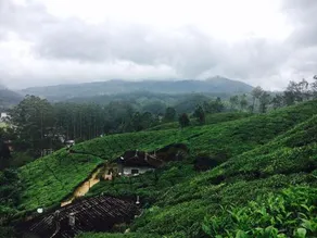 Malankara Cottage - Image 2