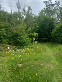 Dysart Cabin Retreat - Image 3