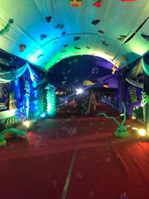 The Wild Cabana - Image 2