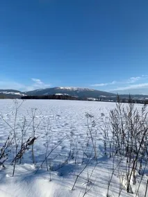Čistá v Krkonoších - Chata Belmonda - Image 2