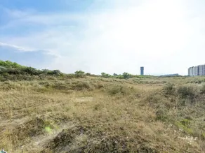 Monumental art-deco villa in protected dune area 50 metres from the sea - Image 5