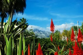 Botanic Home - Image 4