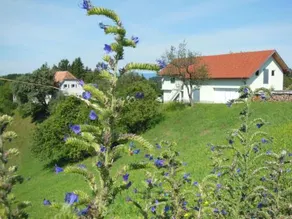 DerDieDas Wohnen Der Bauernhof - Image 3