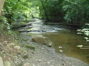 Hidden Valley Cabin - Image 5