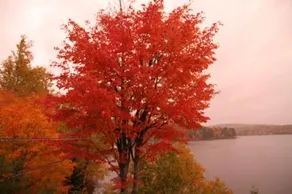 Gîte Côté-Lac - Image 5