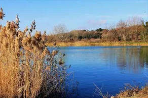 LES JARRES BLEUES - Image 3